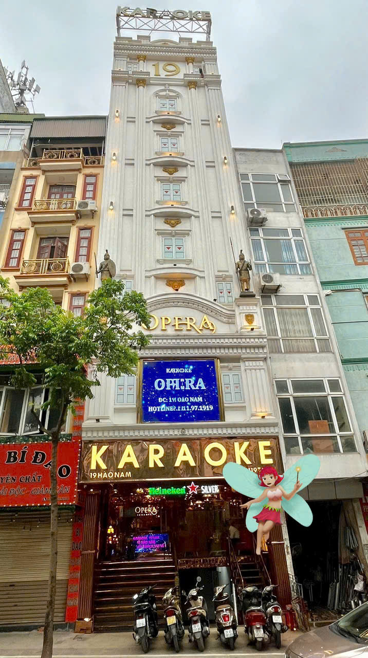 Karaoke Opera